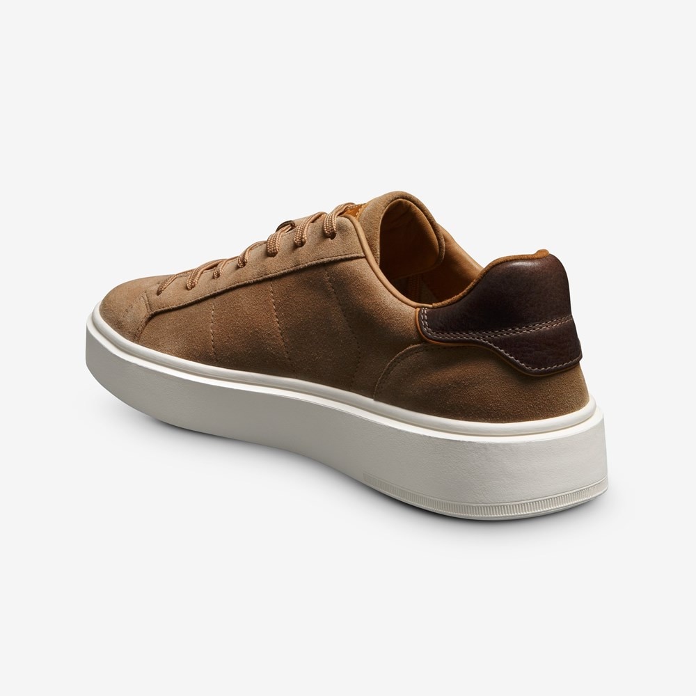 【24AW NEW】BALLY_men / Outline レザー スニーカー / Brown 24AW NEW】BALLY_men / Outline レザー スニーカー / Brown